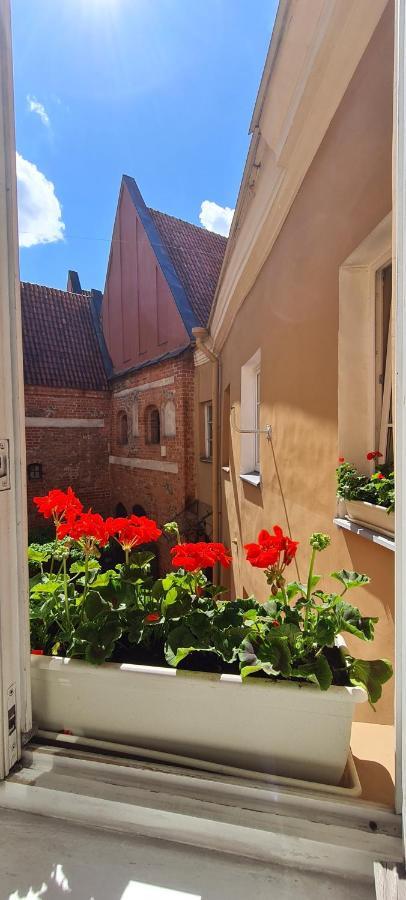Rehouse Stikliu 4 VNO
